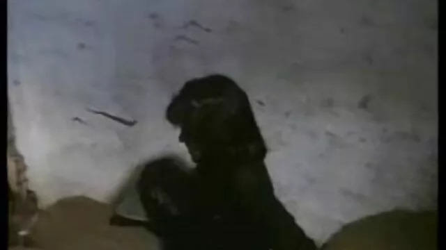 Adulto sem registo  O filme de erótico limpador de quartos estava por perto enquanto mantinha visitas.