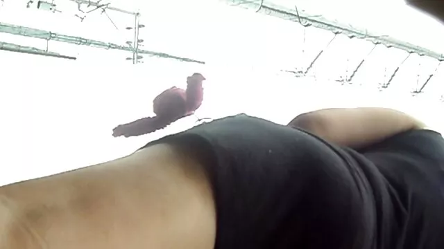Adulto sem registo  Depois do videos eroticos em portugues anal se, dois jovens felizes são limpos